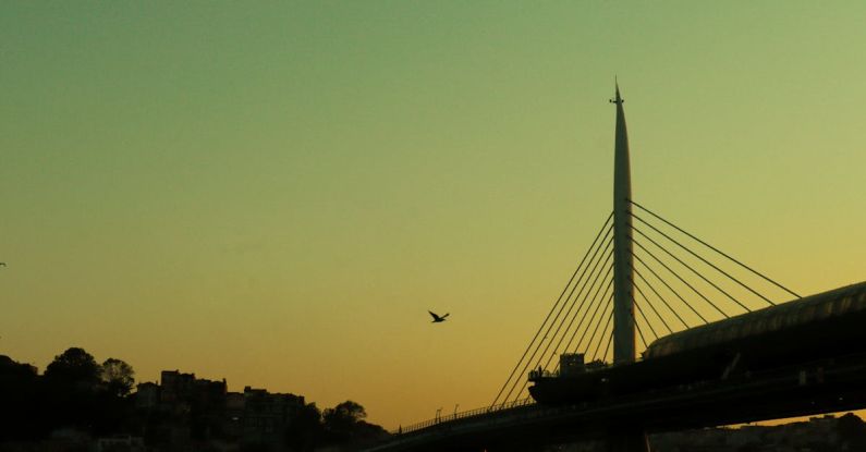 Suspension NXT - Silhouette of Suspension Bridge in Sunset